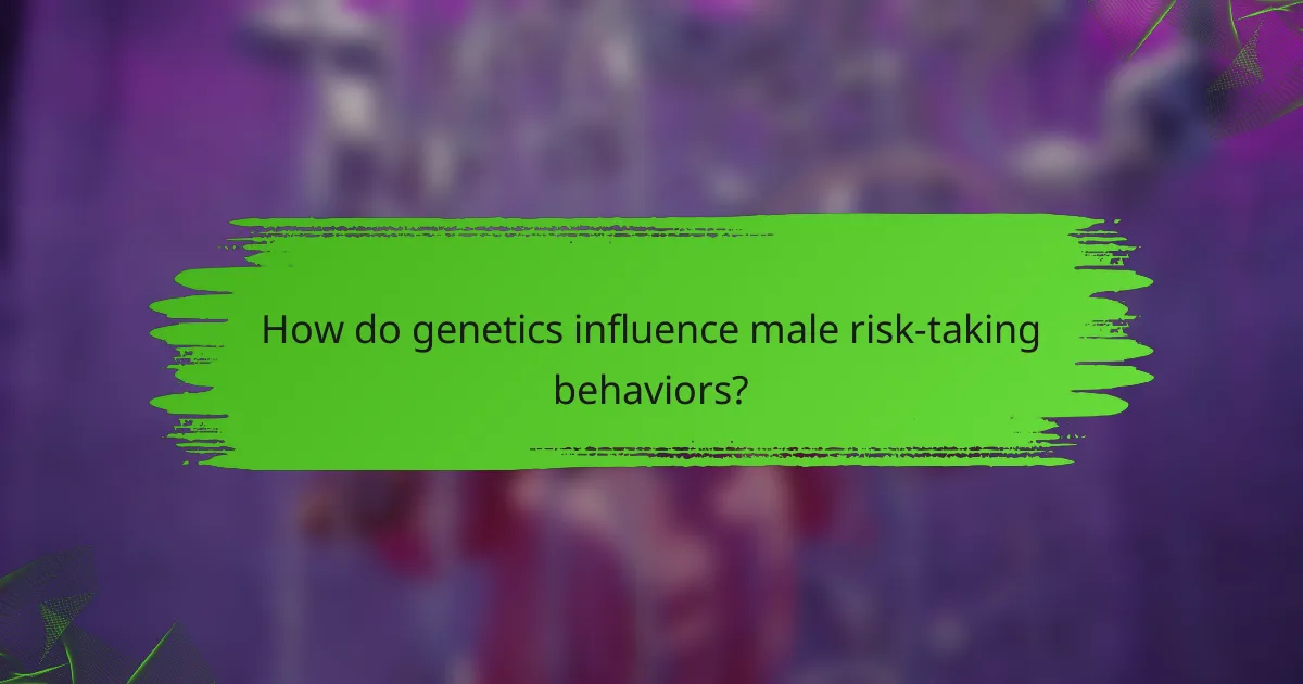 How do genetics influence male risk-taking behaviors?