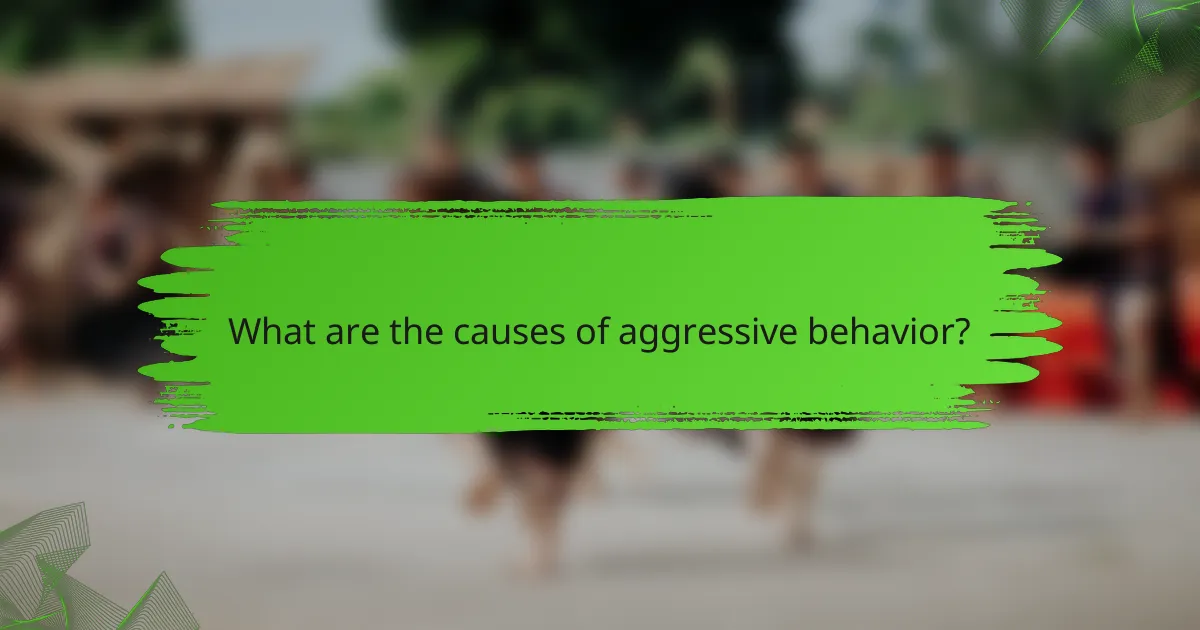 What are the causes of aggressive behavior?