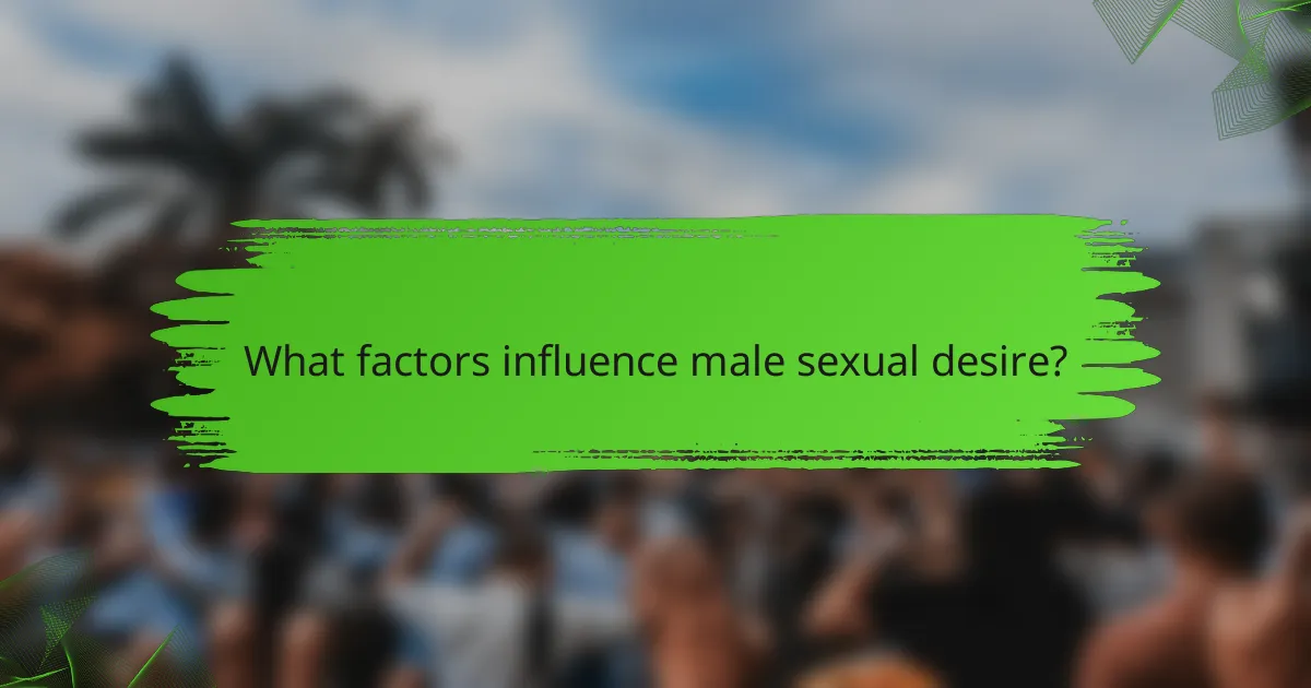 What factors influence male sexual desire?