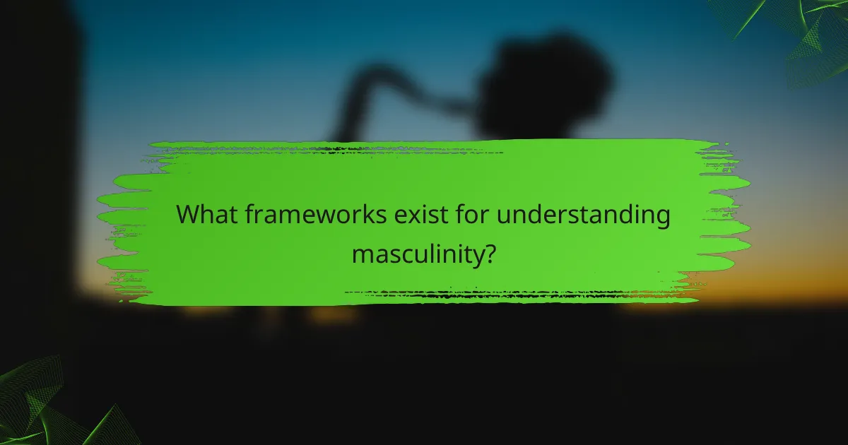 What frameworks exist for understanding masculinity?