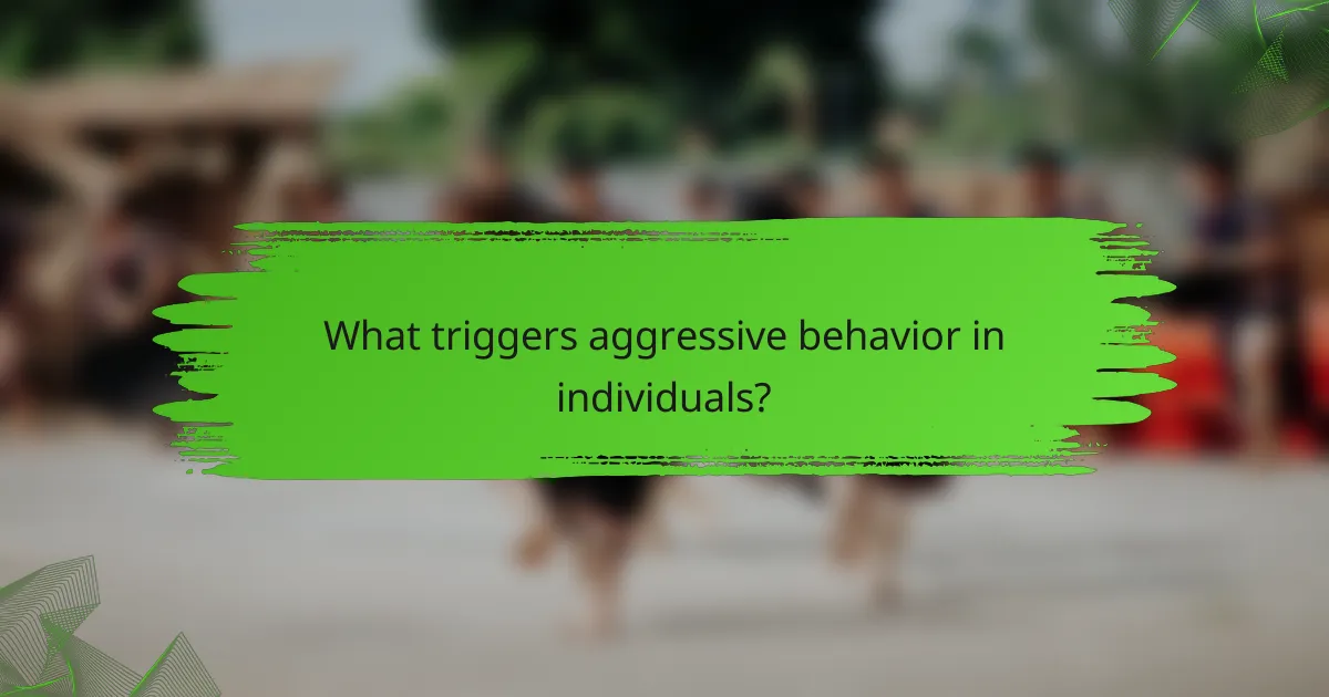 What triggers aggressive behavior in individuals?